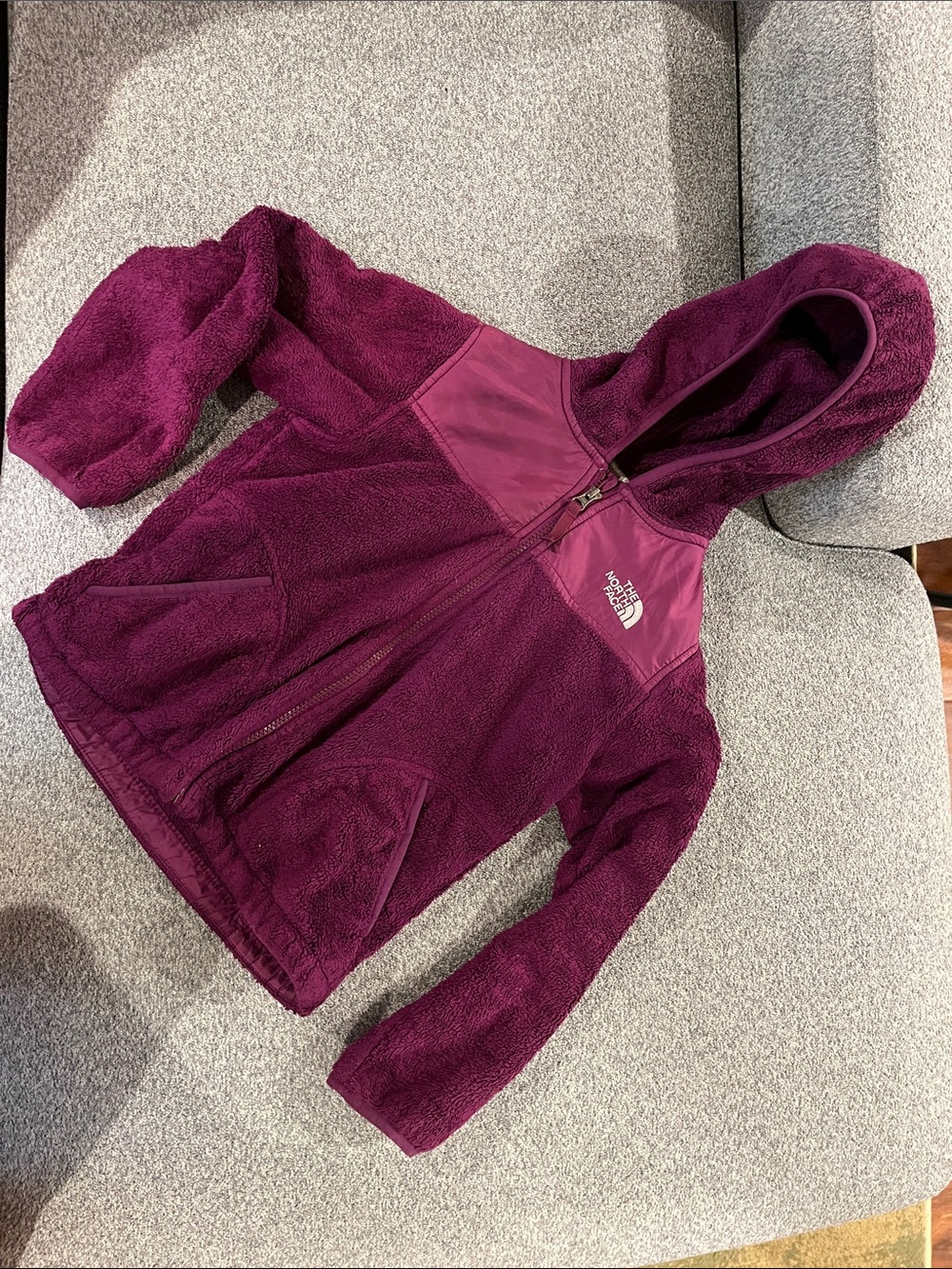 The North Face Kids' Plum Hooded Fleece Jacket